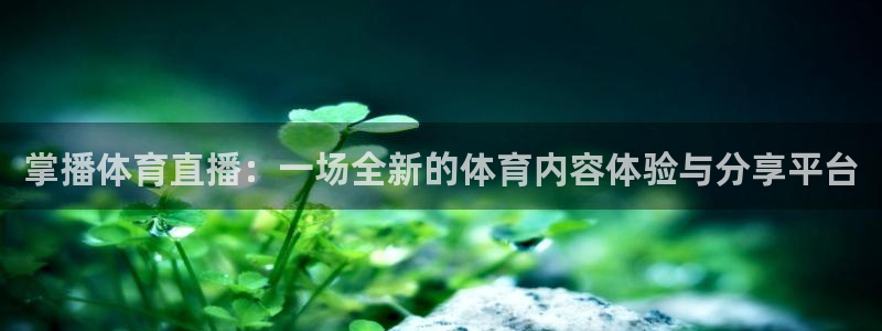 劲爆体育直播节目表：掌播体育直播：一场全新的体育内容体验与分享平台