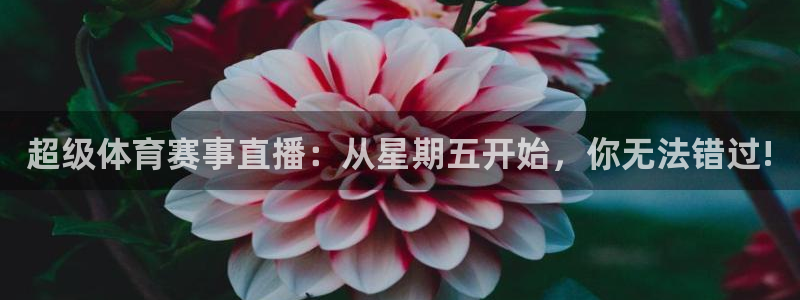 劲爆体育现场直播nba：超级体育赛事直播：从星期五开始，你无法错过!