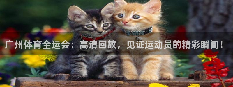 劲爆体育在线直播nba高清：广州体育全运会：高清回放，见证运动员的精彩瞬间！