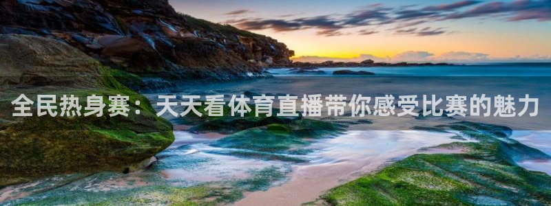 劲爆体育免费观看：全民热身赛：天天看体育直播带你感受比赛的魅力