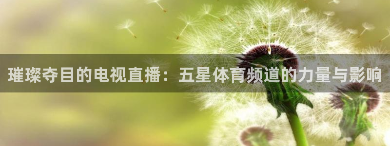 劲爆体育无插件直播：璀璨夺目的电视直播：五星体育频道的力量与影响