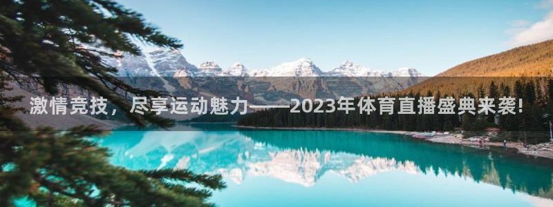 劲爆体育节目表在线观看：激情竞技，尽享运动魅力——2023年体育直播盛典来袭!