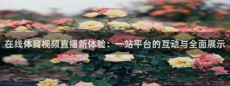 劲爆体育直播免费看：在线体育视频直播新体验：一站平台的互动与全面展示