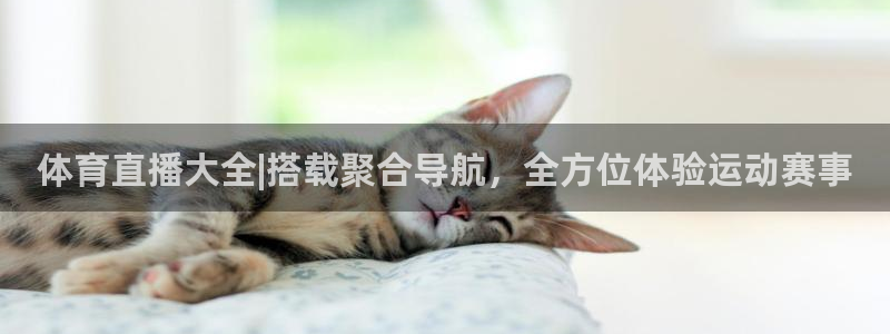 劲爆体育免费直播nba新的好游戏.认证网.org