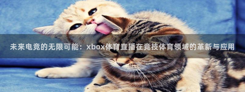 劲爆体育直播高清：未来电竞的无限可能：xbox体育直播在竞技体育领域的革新与应用